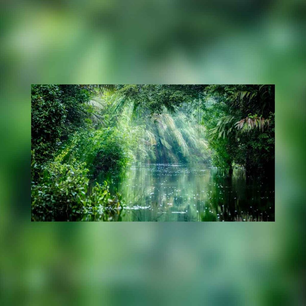 Heitor Villa-Lobos prelude No.4